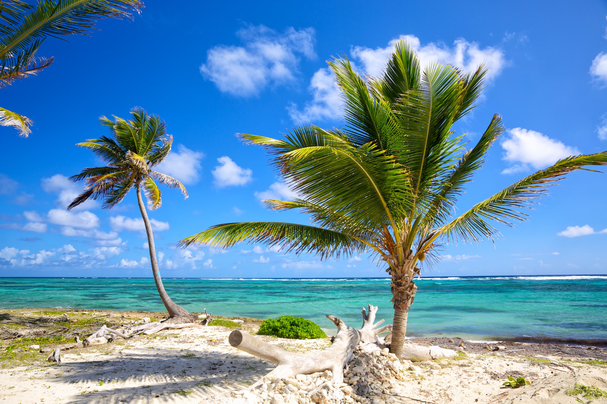 Caribbean coastline